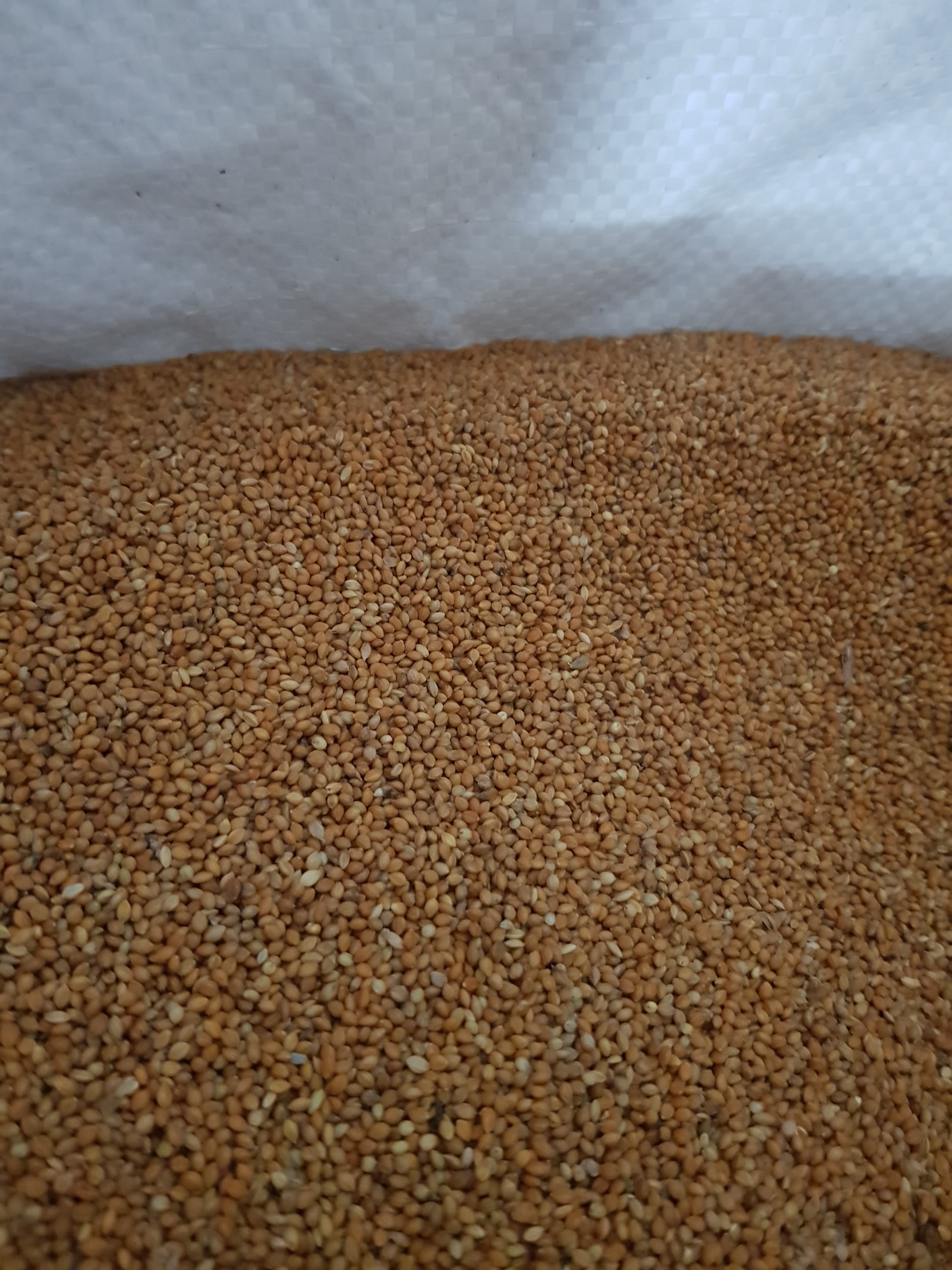 Kê đỏ hạt nhỏ (xuất xứ ấn độ) gói 1kg