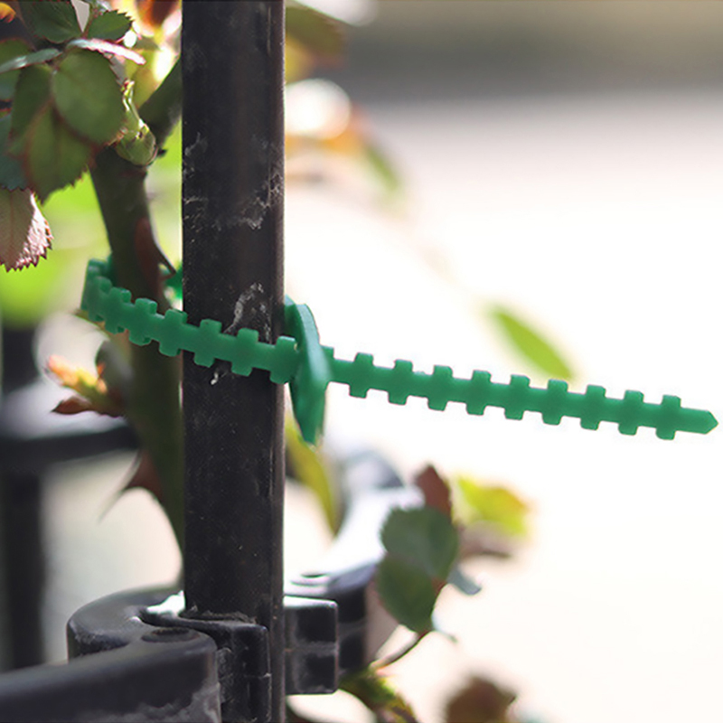 50/100pcs%20Reusable%20Plastic%20Plant%20Support%20Clips%20clamps%20Plants%20Hanging%20Vine%20Garden%0D%0A%20ZHANGBEI%20-%20Image%205