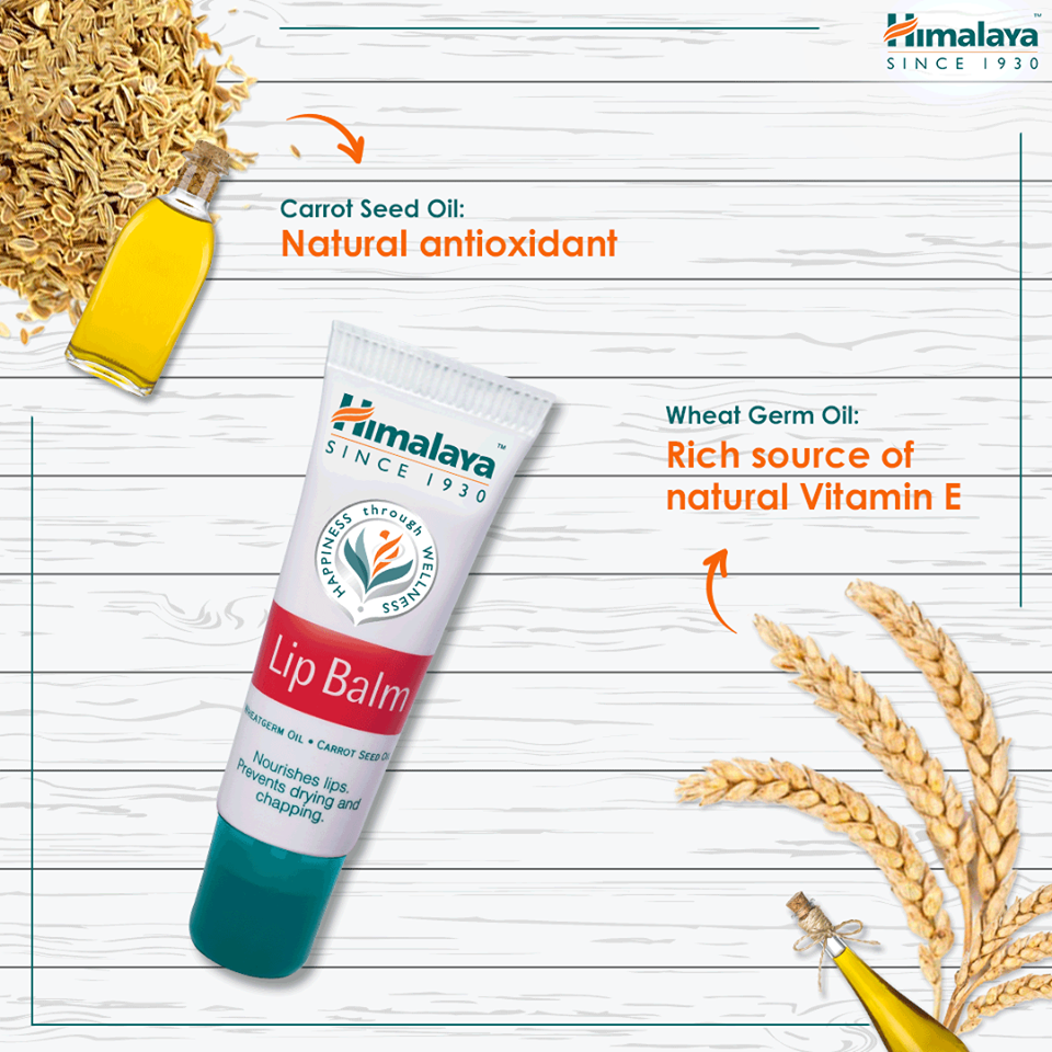 Son dưỡng môi Himalaya Lip Balm - hebenastore