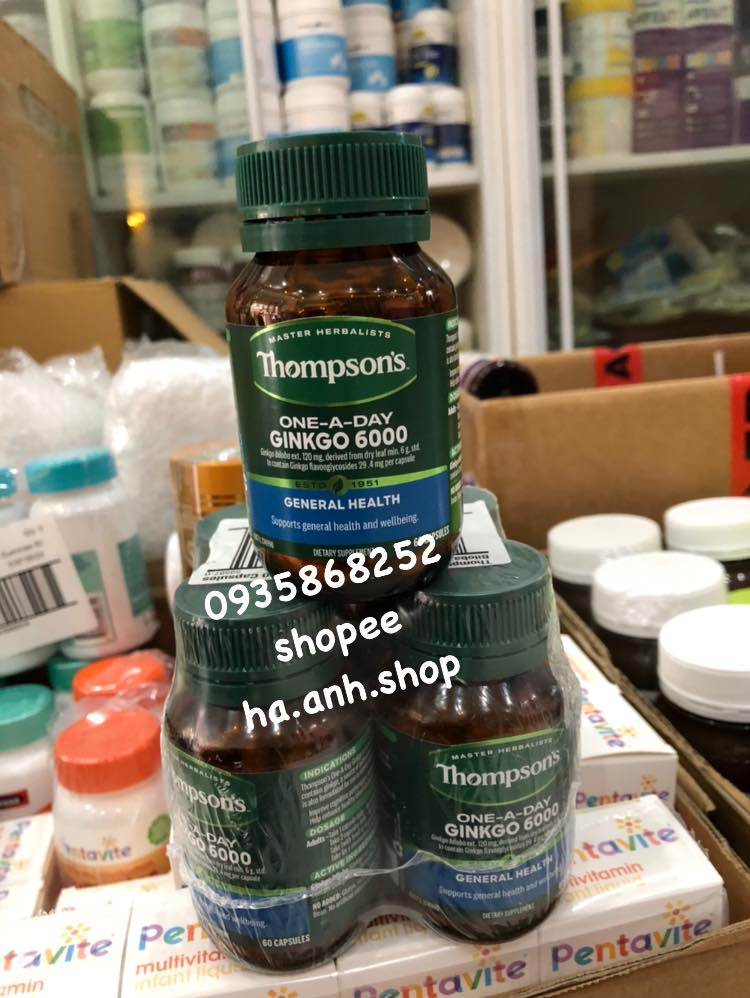 Thompson Ginkgo 6000mg