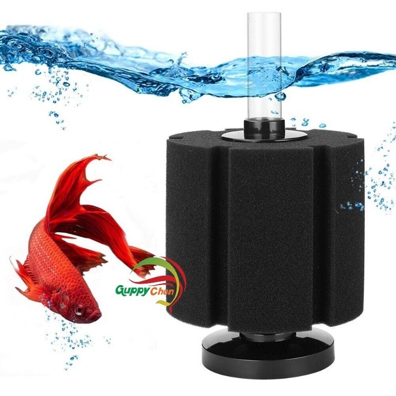 Lọc vi sinh xy-2835 cho hồ cá cảnh