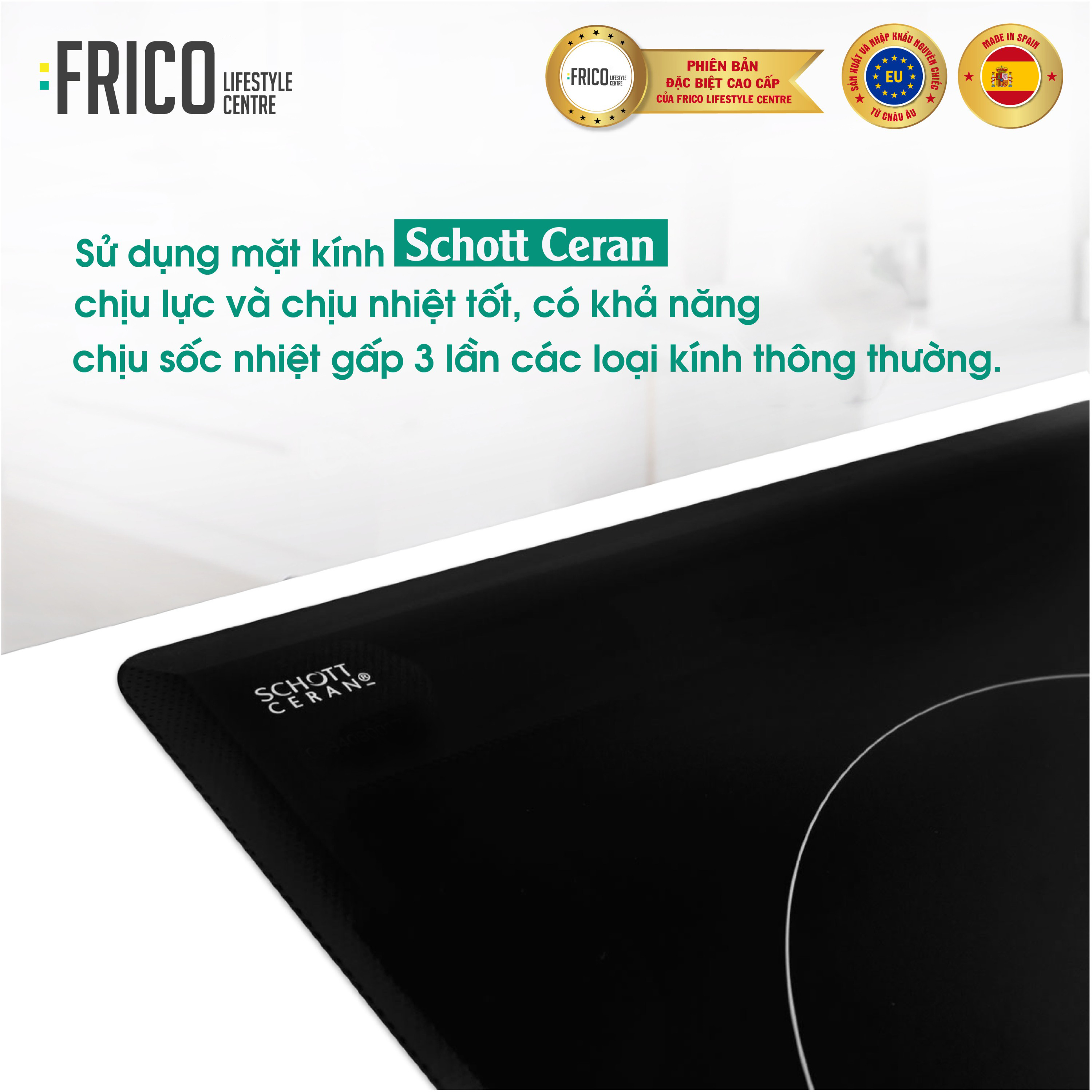 Bếp điện từ FC-DC176es
