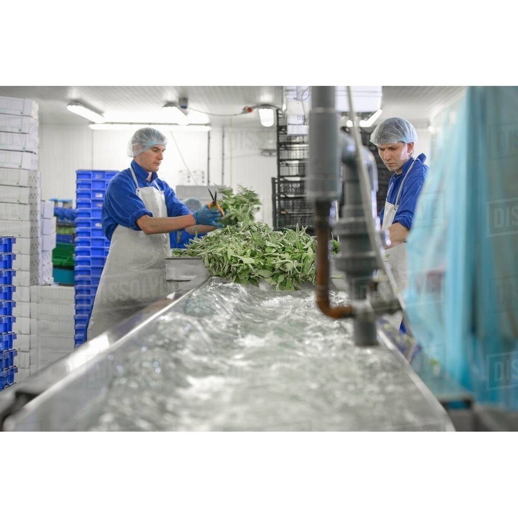Lá Mùi Tây gia vị sấy khô nhập khẩu ( Parsley ) làm nước sốt, ướp thịt