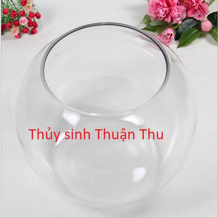 Chậu thủy tinh Nuôi Cá, Trồng Cây nhiều kích cỡ dày siêu đẹp_bể thủy tinh