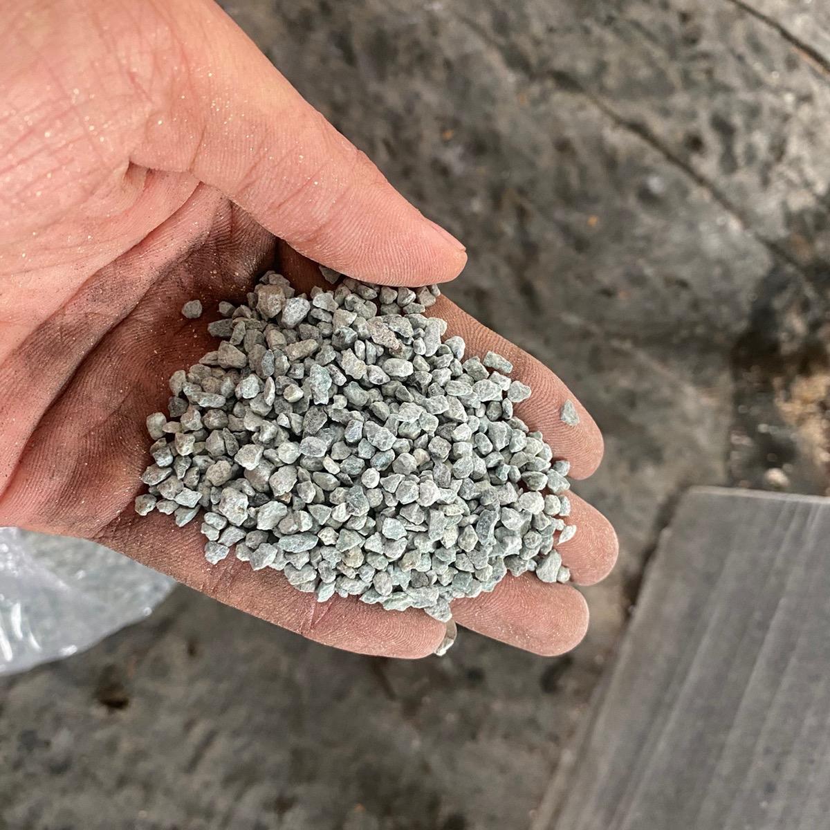 Đá zeolite đá trộn giá thể trồng sen