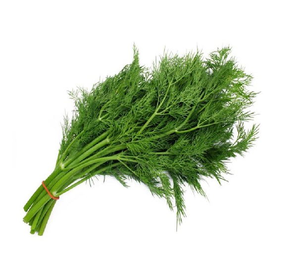 Lá Thì Là Khô Ông Chà Và 500g