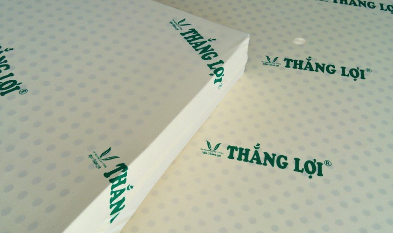 NỆM ĐỦ SIZE 1M X 2M X 5cm CAO SU NON THẮNG LỢI