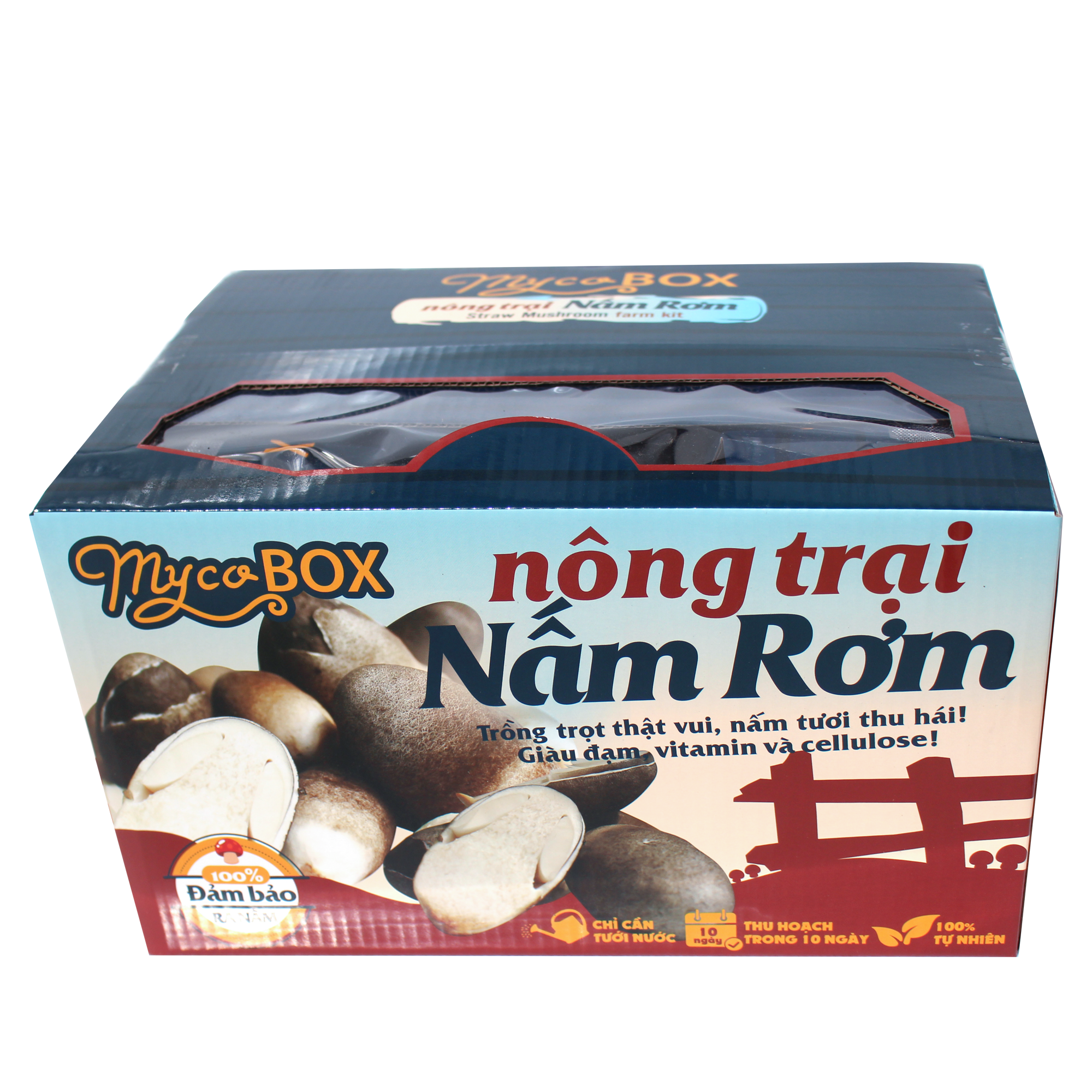 MycoBOX - Combo 2 Nông Trại Nấm Rơm