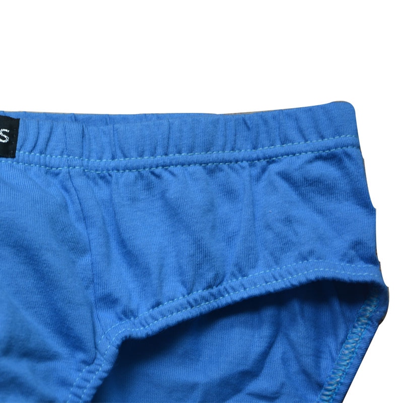 4Pcs Briefs Men Underwear Sexy Lingerie Male Panties Cotton Underpants  Breathable Cueca Calcinha Wholesale Lots Free Shipping Color: Navy Blue,  Size: XL