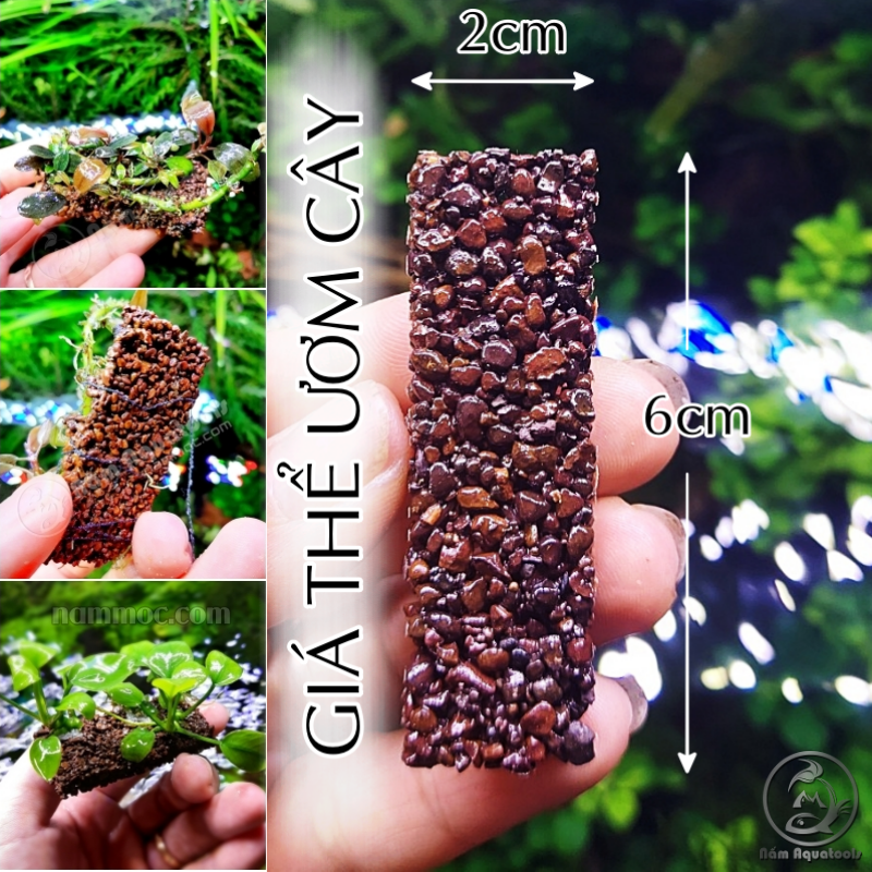 Giá thể ươm cây napad 2x6cm | giá thể ươm ráy, bucep... | phụ kiện thuỷ sinh nấm aquatools