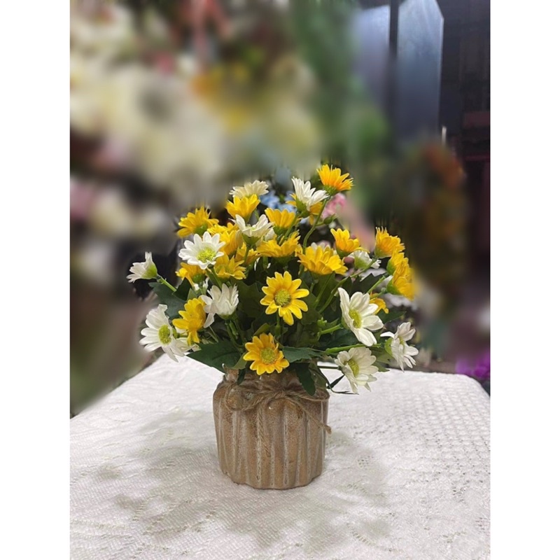 Chậu Cúc mini ( có sẵn chậu)