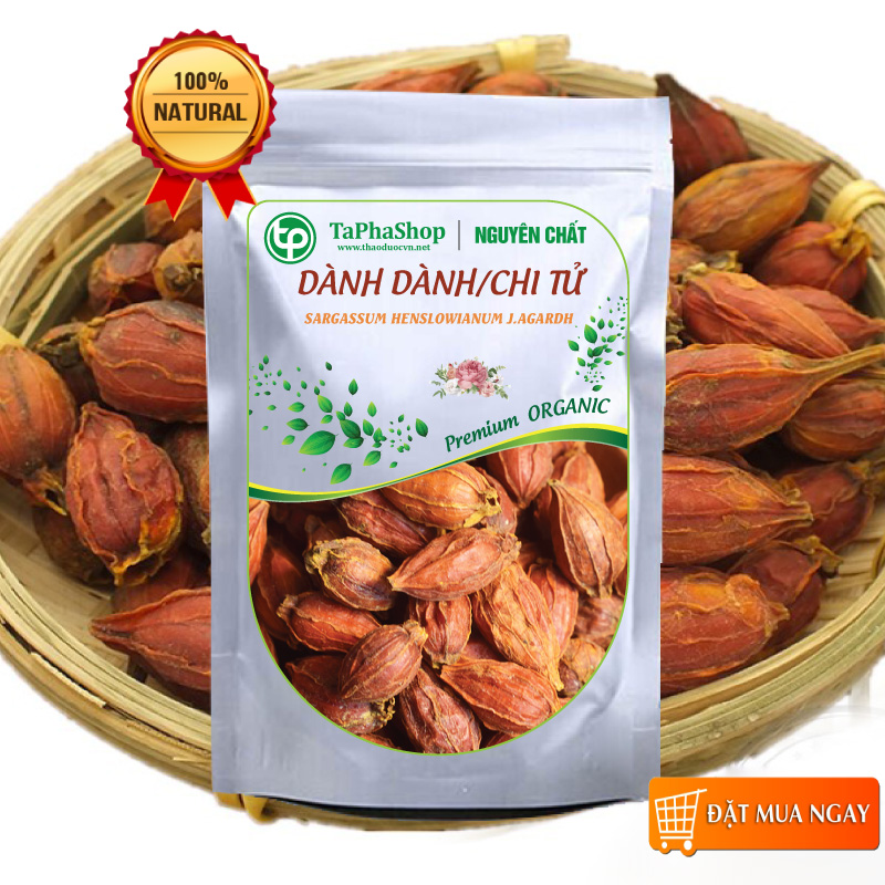 Quả dành dành sấy khô 100g, Quả chi tử khô - tấn phát