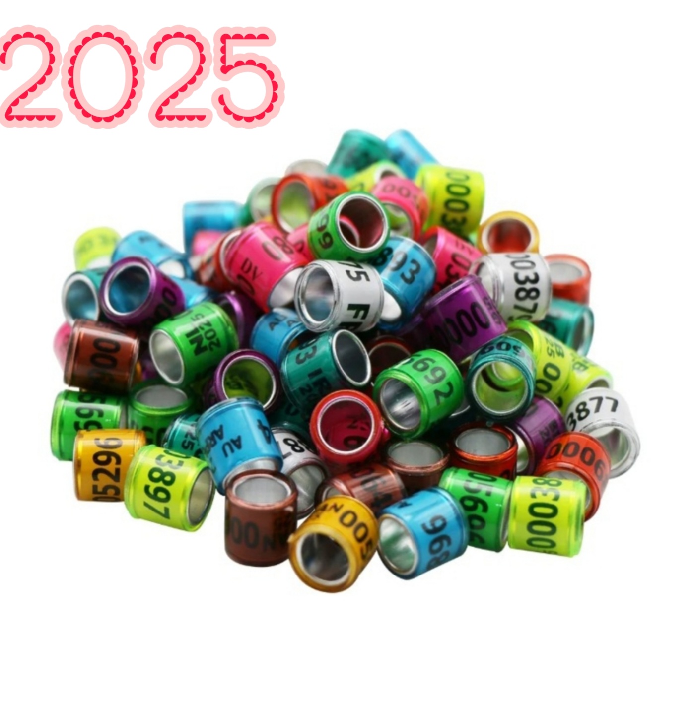 8mm%20Bird%20Foot%20Ring%20for%202025%20Racing%20Pigeon%20Rings%20Pigeon%20Leg%20Bands%20Multicolor%20-%20Image%202