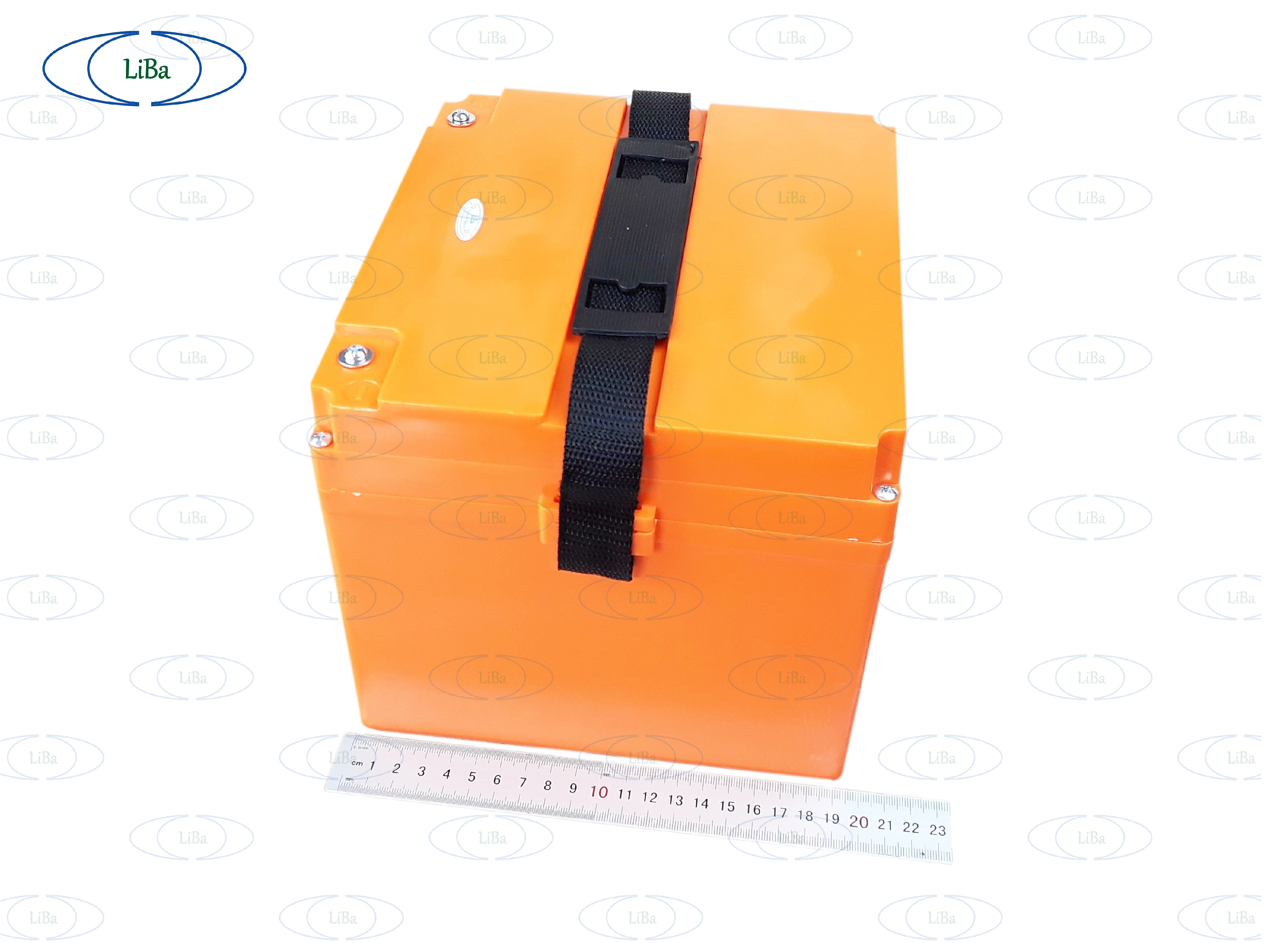 Pin Xe Máy Điện, 63V 21Ah, thay thế 5 bình acquy 12V - Liba