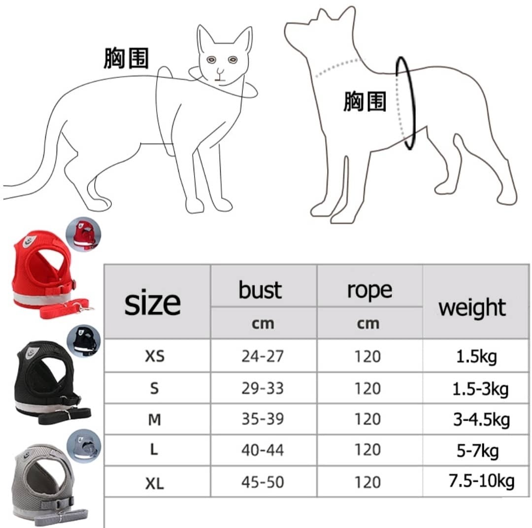 Bộ Dây Dắt Áo Yếm Cho Chó Mèo - Dây Dắt 016