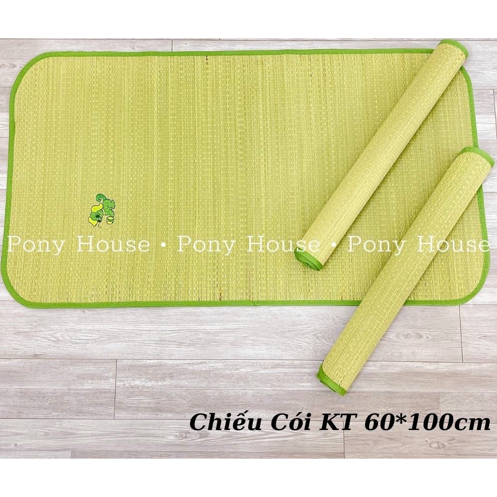 Chiếu cói, chiếu cỏ 2 size lớn nhỏ cho bé