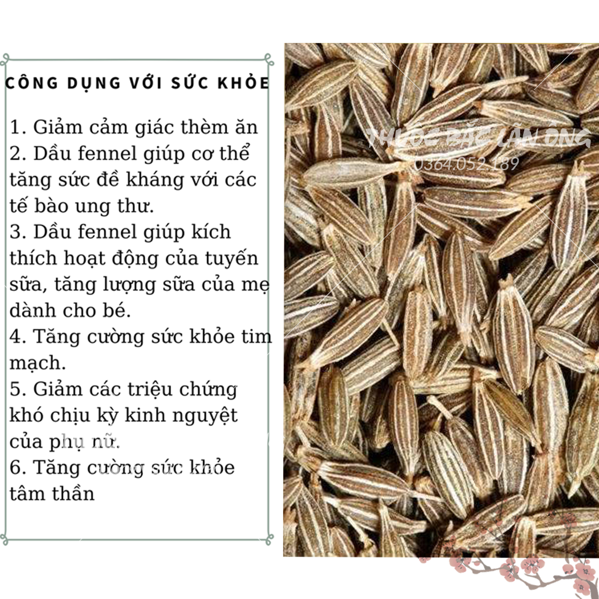 Hạt thì là Ấn Độ organic 500g ( Hạt thìa là khô, gia vị nấu phở, tạo mùi thơm cho món nướng)