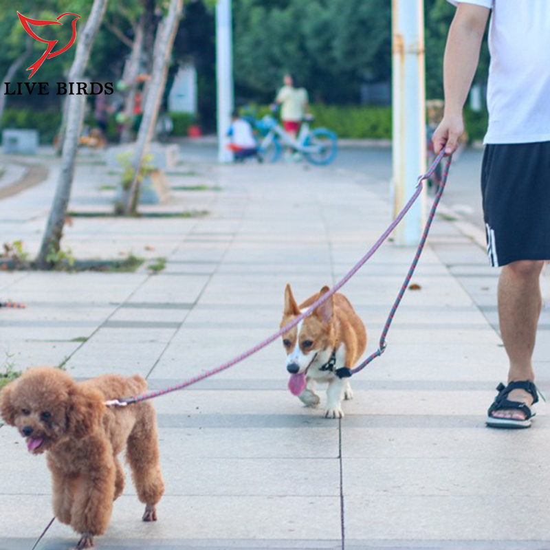 Multifunctional Nylon Double Leash For Dogs Reflective Strip Design Dog Training Leash For Medium Large Dogs