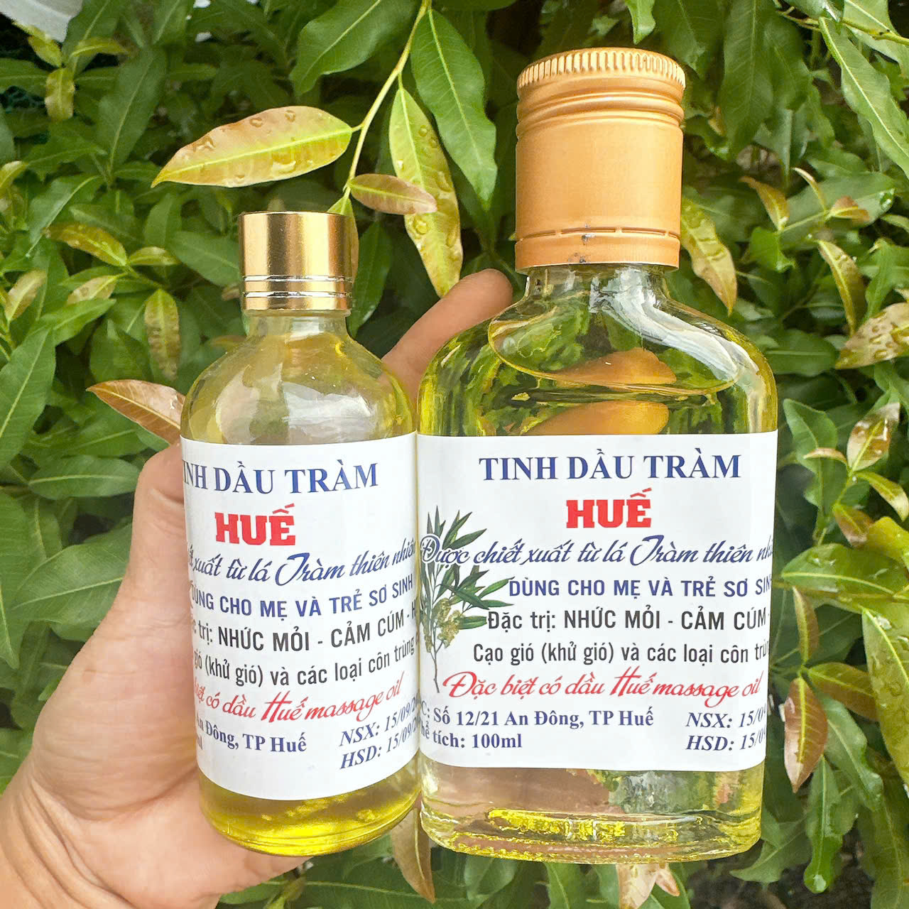 Combo 2 Chai Dầu tràm Huế chai 100ml
