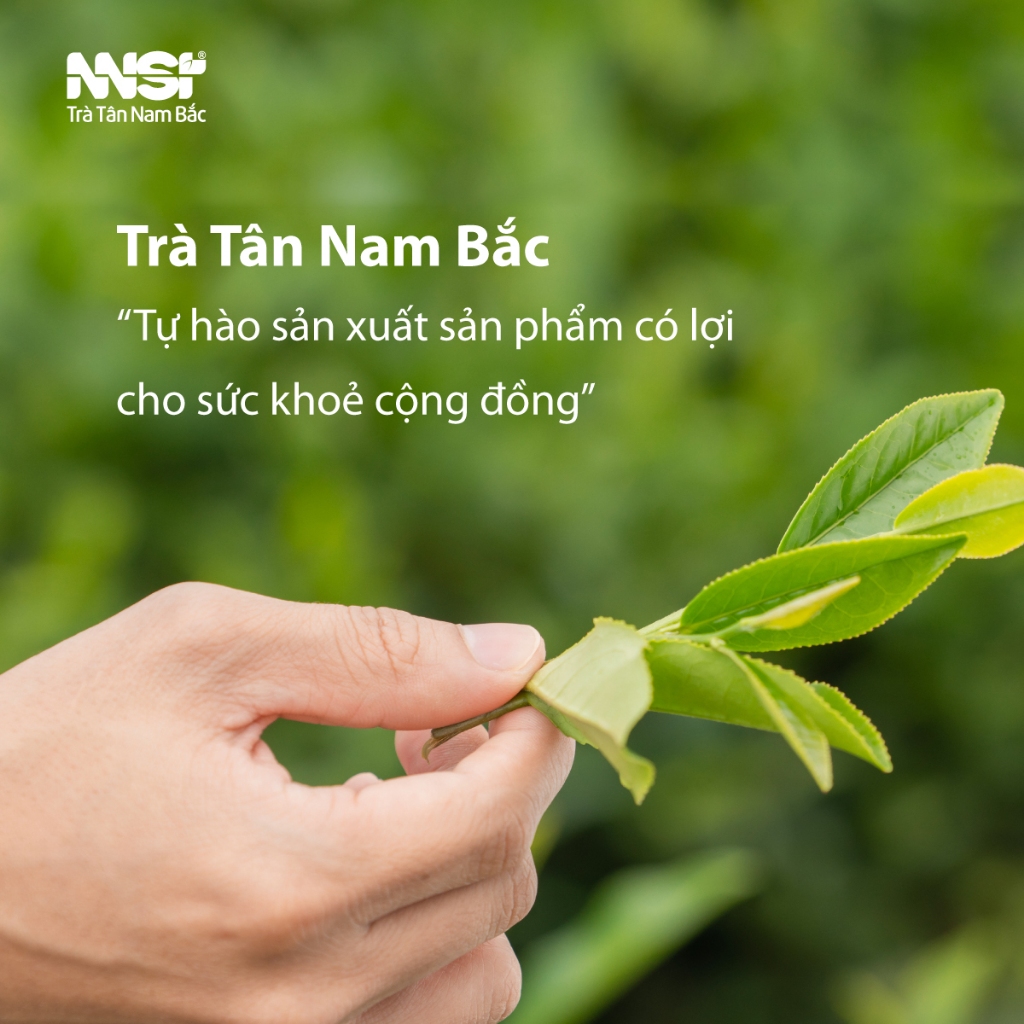 Trà đen túi lọc, trà nhãn đỏ Aka 50g (25 túi x 2g) nguyên liệu pha chế trà sữa, trà chanh đậm vị trà