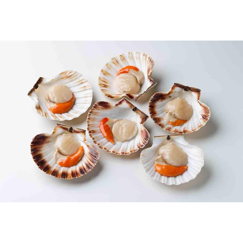 Sò Điệp Nửa Mảnh 500gr