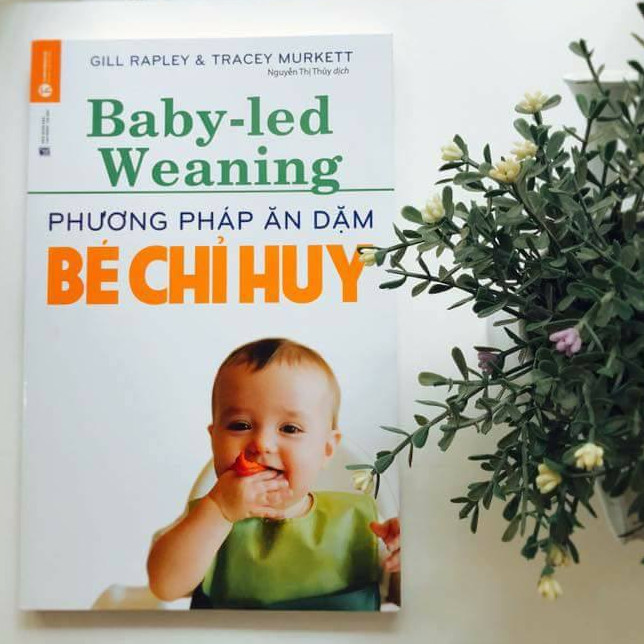 Phương Pháp Ăn Dặm Do Bé Chỉ Huy
