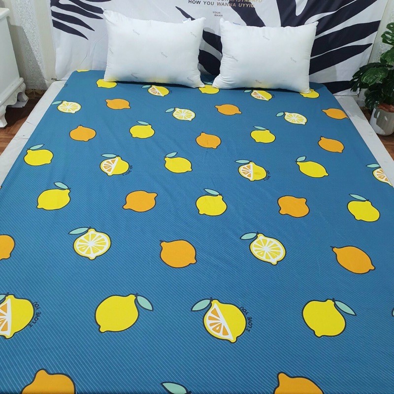 GA CHỐNG THẤM COTON HÀN QUỐC IN HÌNH SIÊU ĐẸP