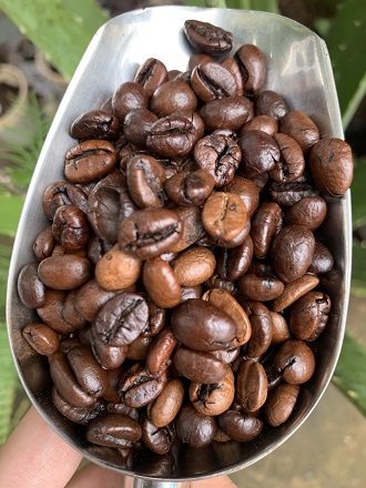 Cà phê arabica đăk lăk đặc sản tây nguyên bontay bt05 - ảnh sản phẩm 4