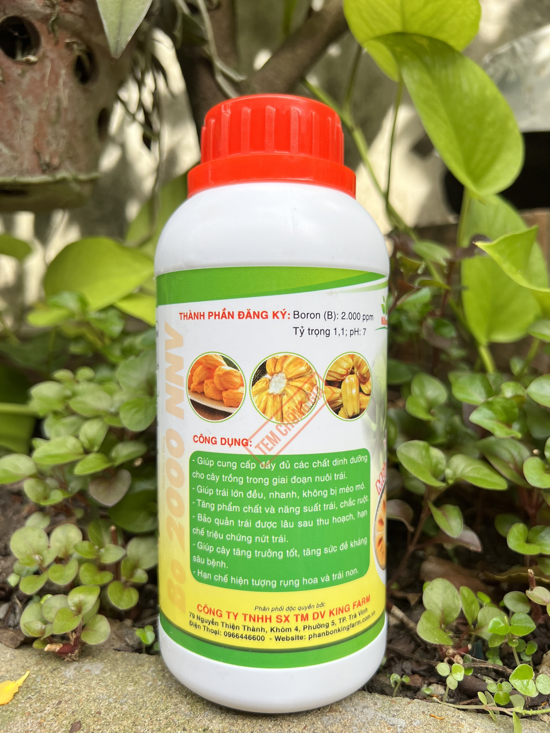 Phân Bón Lớn Trái Mít, Hạn Chế Sơ Đen Max Fruit Chai 0,5 Lít