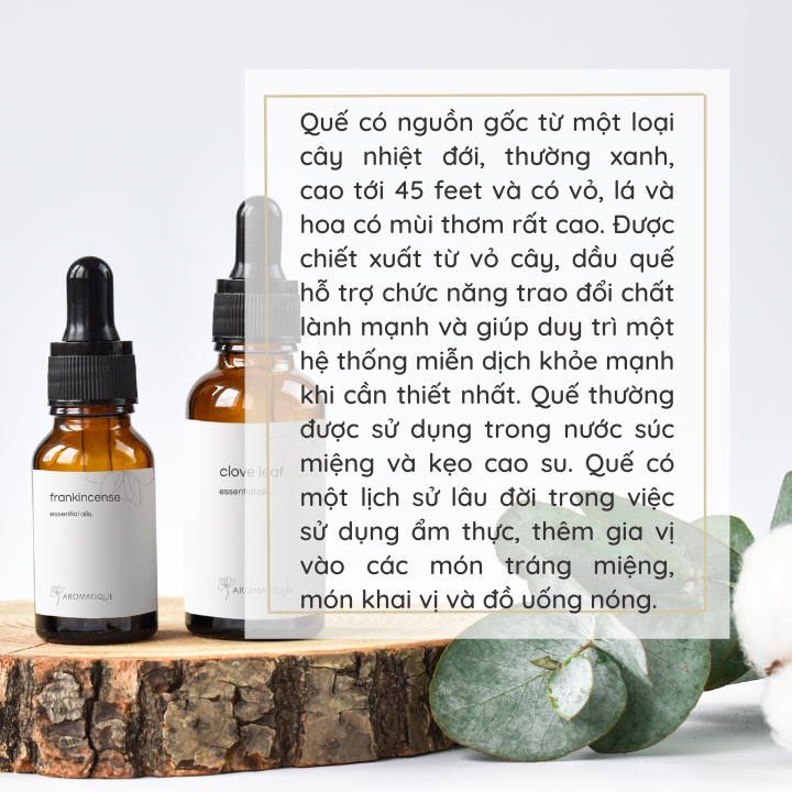 Tinh Dầu Quế Cinnamon Tự Nhiên Nguyên Chất xông thơm phòng, massage thư giãn, Chai 10ml