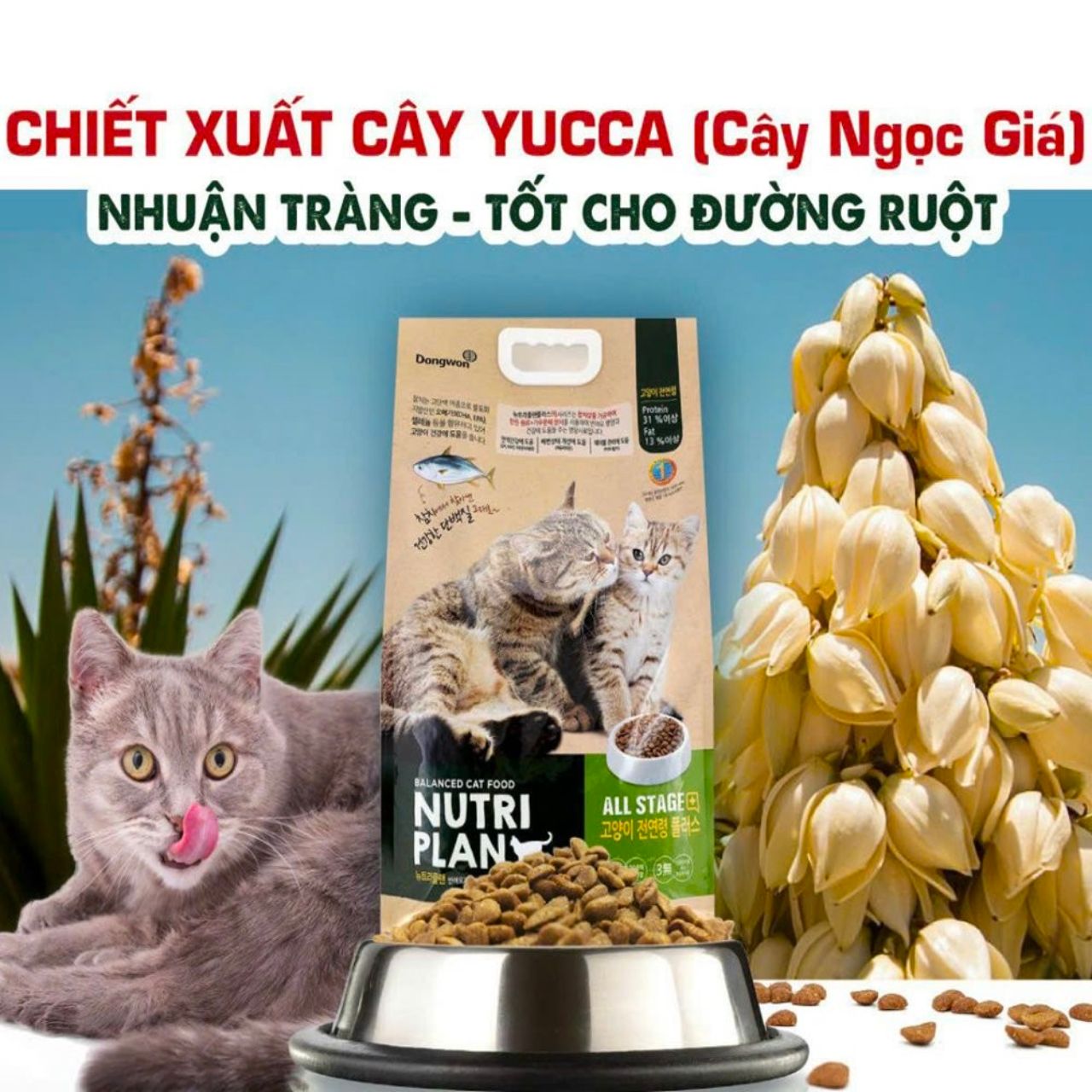 Thức Ăn Hạt Cao Cấp Dành Cho Mèo Mọi Lứa Tuổi Nutri Plan