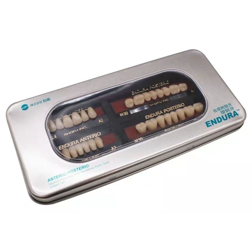 SHOFU ENDURA Dental Denture Teeth – Resin A2 M30 M32 – WA-26961 – Lab Supplies