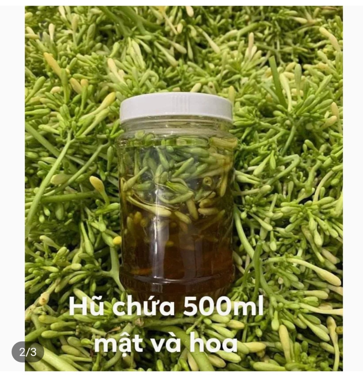 Hoa đu đủ đực ngâm mật ong