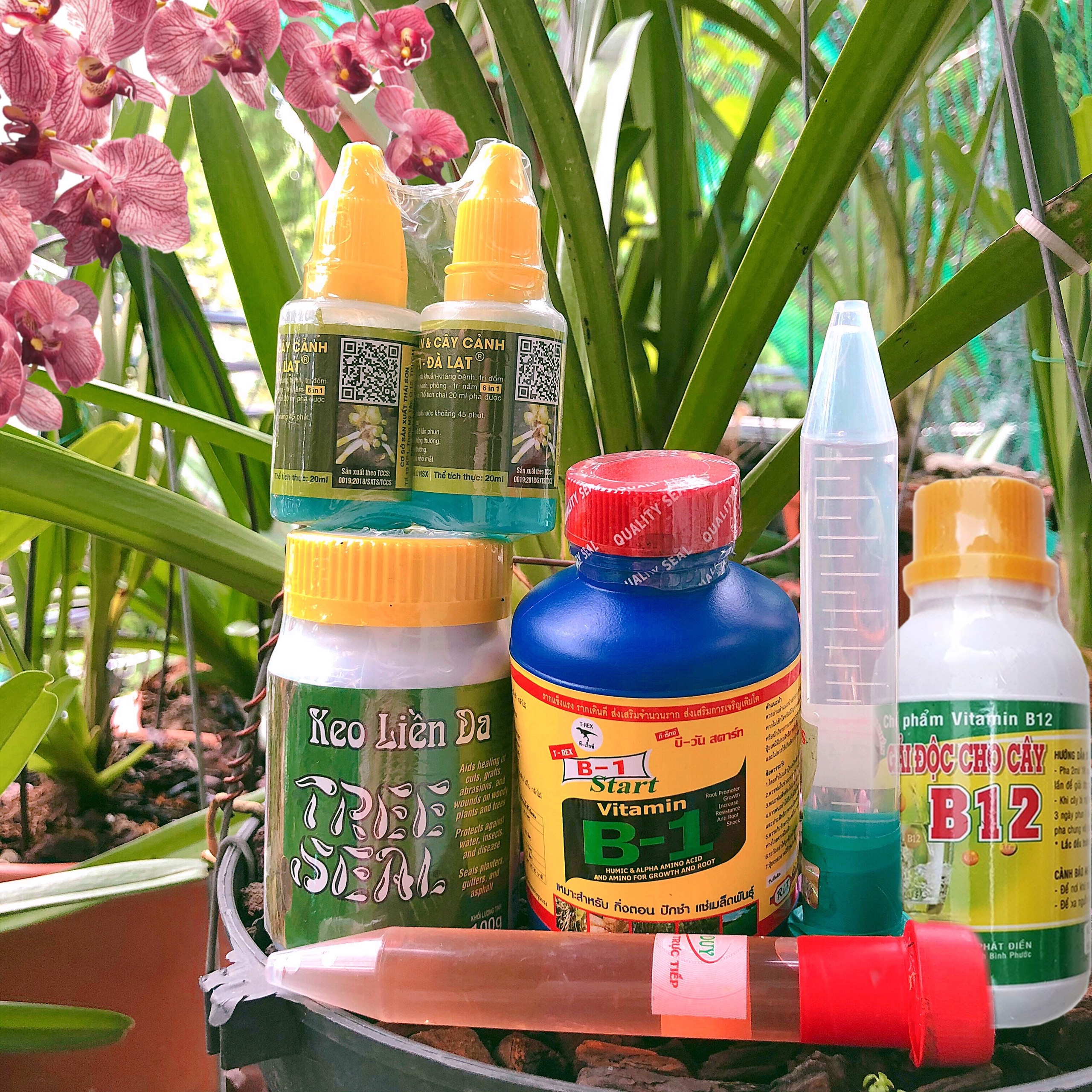 Combo kích ki cho Phong lan 7 sản phẩm