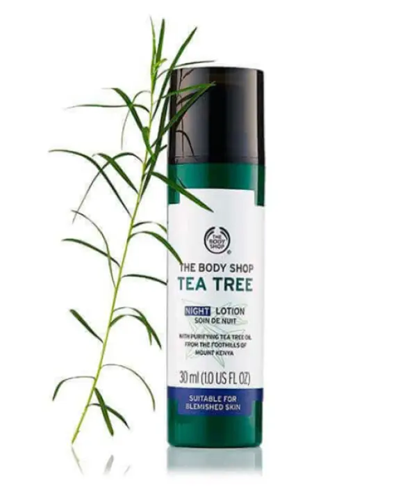 moisturizer body shop tea tree