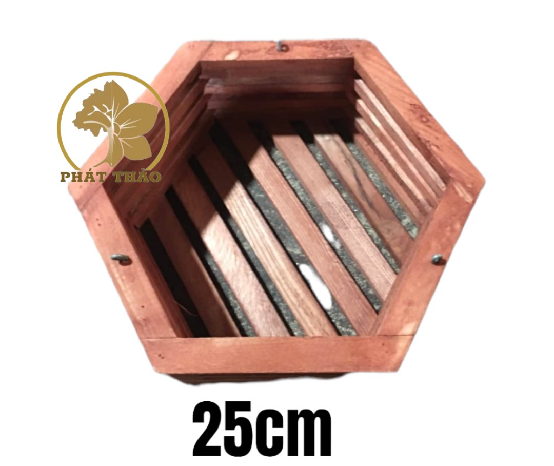Chậu gỗ lục giác trồng lan size 25cm - ngọc điểm, đai trâu, lan rừng - gỗ cà chắc