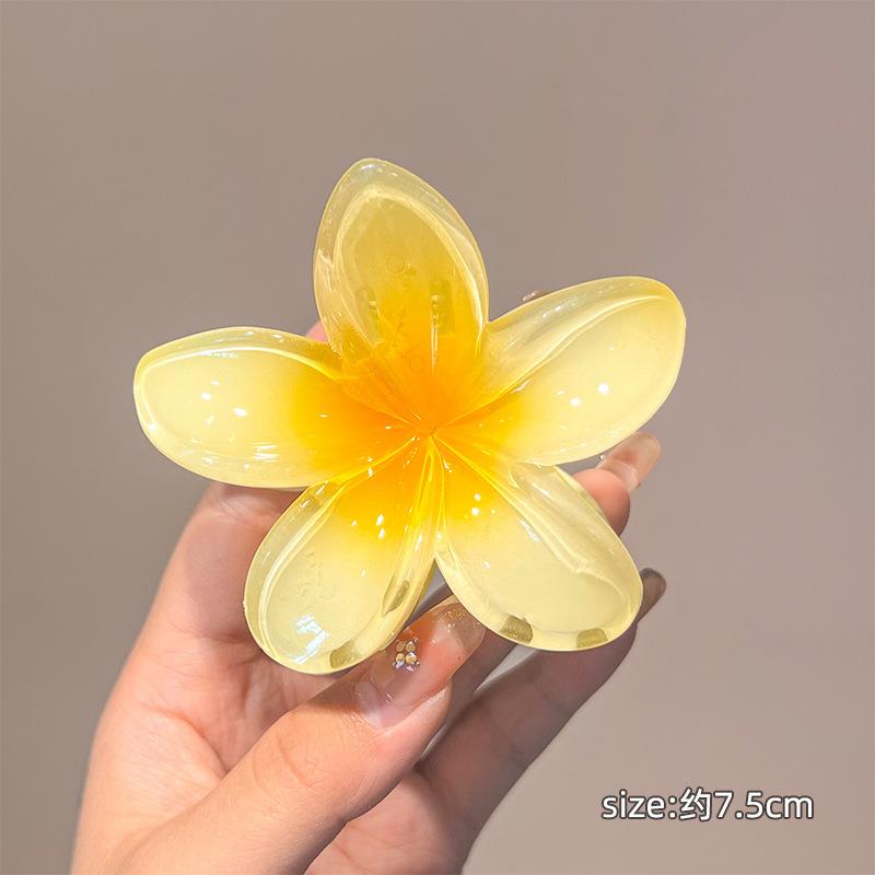 Kẹp Tóc Hoa, Phụ Kiện Tóc Cao Cấp