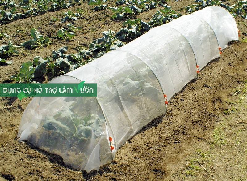 Lưới chắn côn trùng loai dầy nhiều kích thước lựa chọn