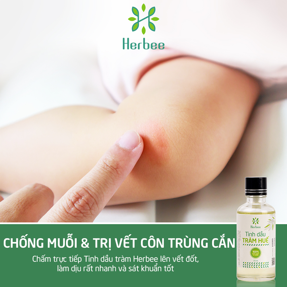 Tinh Dầu Tràm Huế Herbee Nguyên Chất