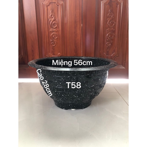Chậu nhựa truyền thống t58 trồng cây màu đá đen