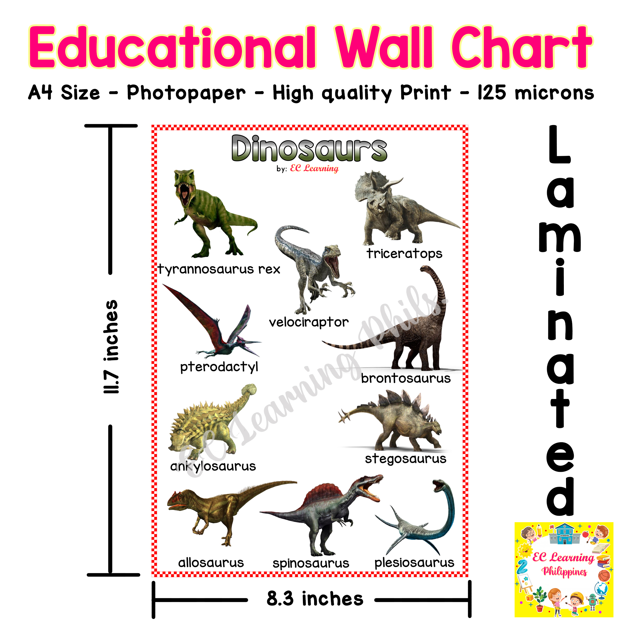 A4 EDUCATIONAL Laminated Wall Charts for Kids ANIMALS | Lazada PH