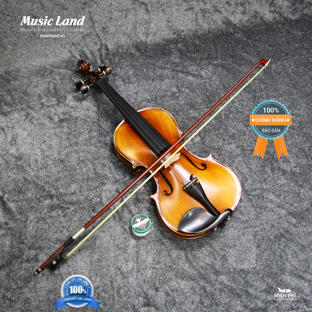 Đàn Violin Amati VM118 – Chính Hãng