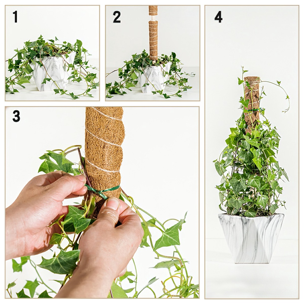 Trụ cột xơ dừa cho cây leo bám cột 30/40/50cm