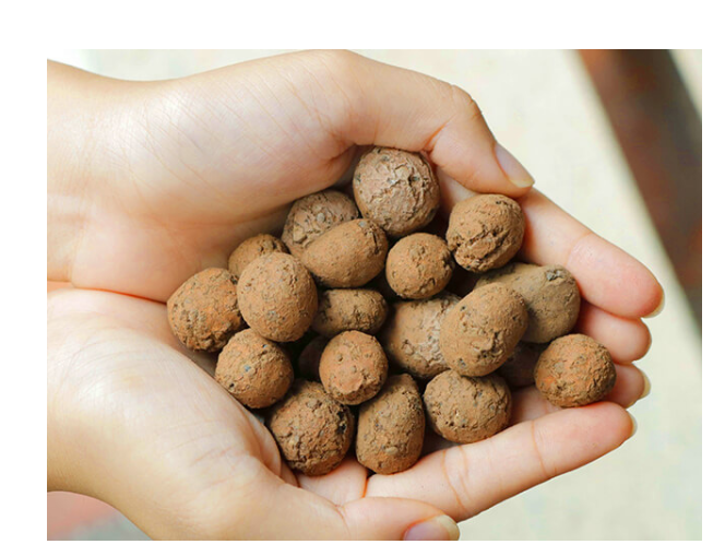 Viên đất nung ( sỏi nhẹ ) - Bao 5dm3 ( KT 10-20mm ) - 2.5kg/túi