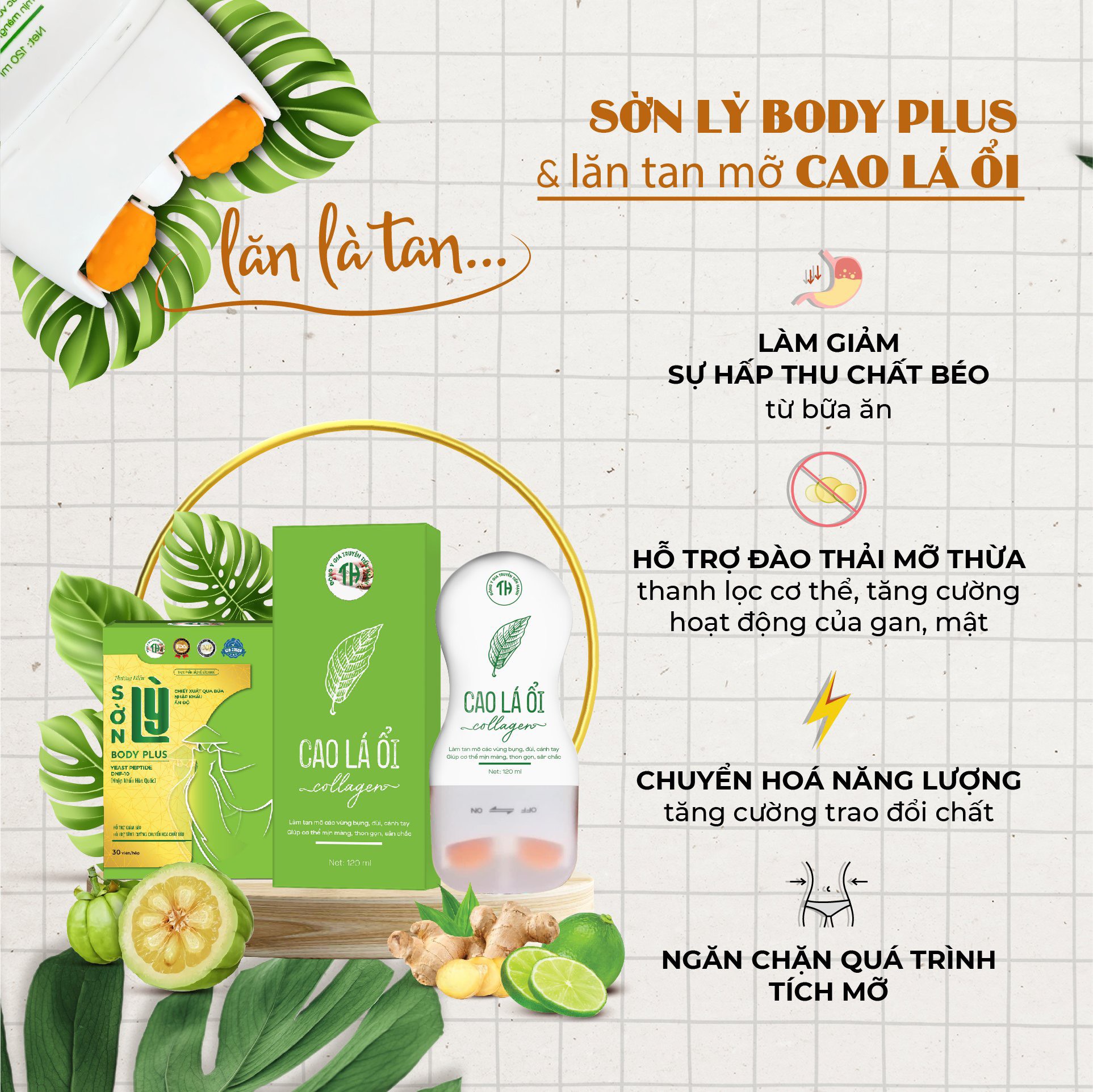 COMBO Giảm Cân Sờn Lỳ Plus và Lăn Tan Mỡ Cao Lá Ổi