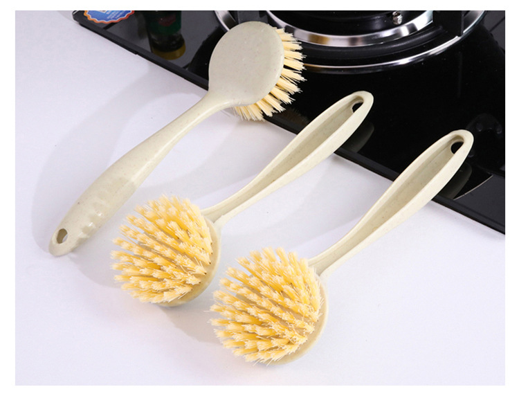 Cây rửa chén lúa mạch