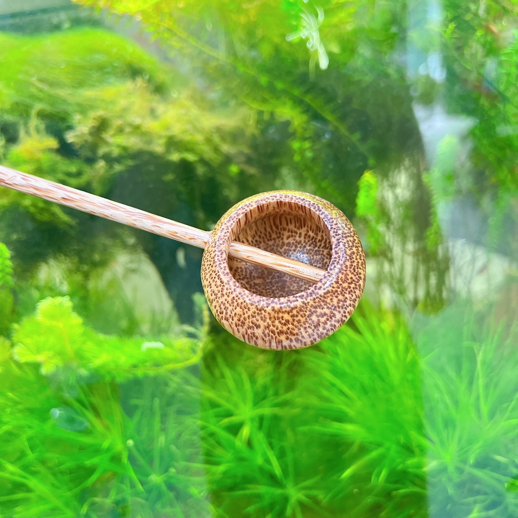 Gáo dừa múc rượu - Gáo dừa TRÒN
