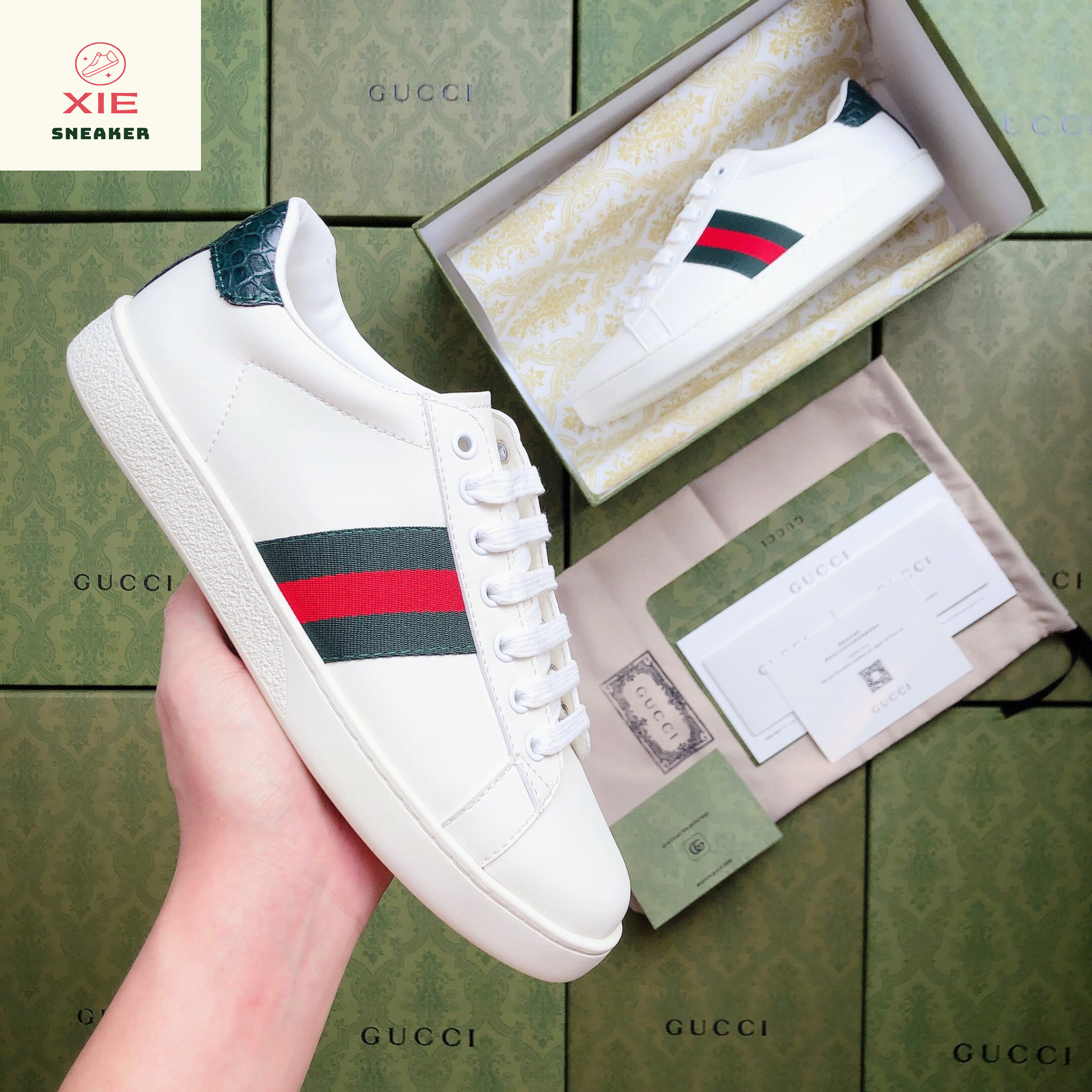 Giày Gucci ACE Trơn - 1.1 + [Tặng thêm 1 bộ dây + FreeShip + Full Box + Bill + Phụ Kiện]