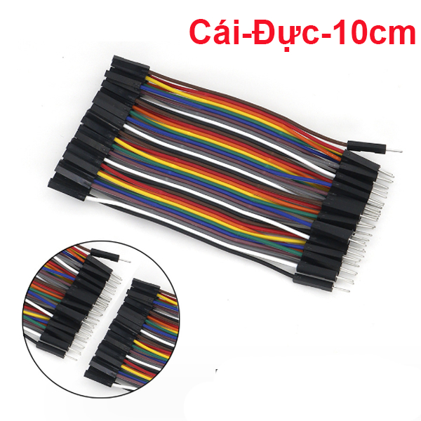 Dây Cắm ( Bus) Test Board ( 40 sợi 1 bus)
