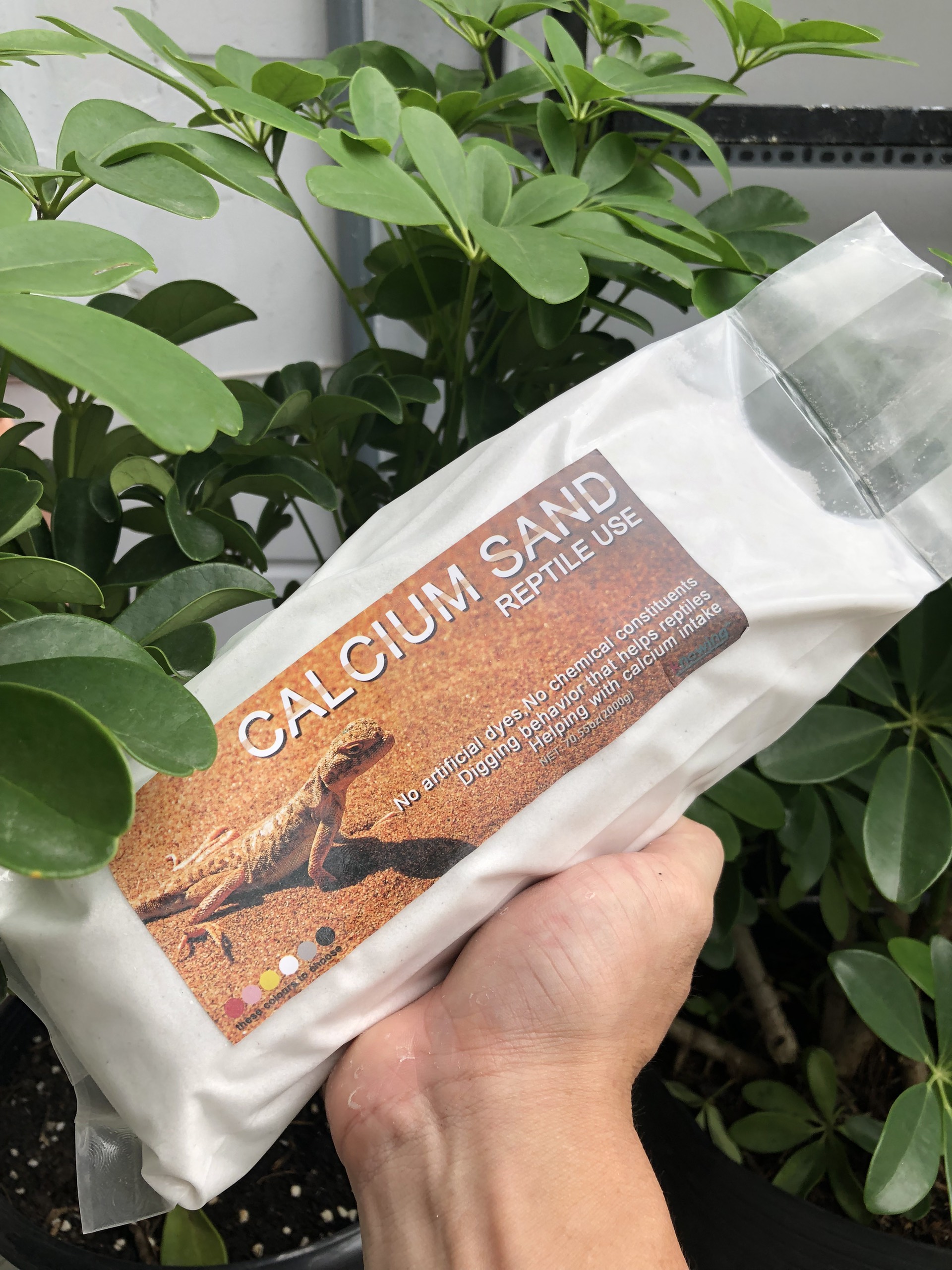 Cát sa mạc dành cho bò sát túi 2kg